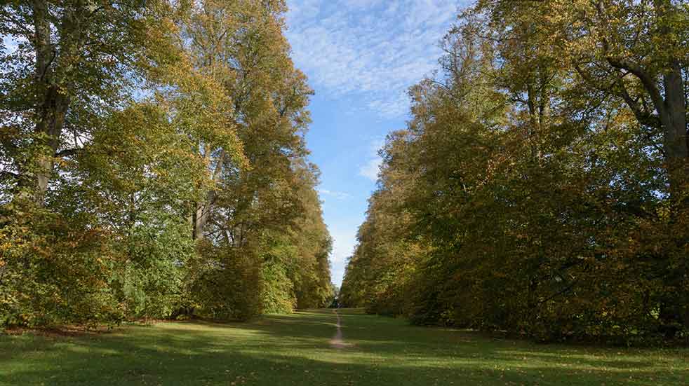 Best autumn walks in the UK Nowton Park
